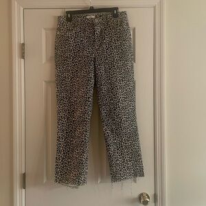 Loft Leopard High Rise Straight Leg Pants